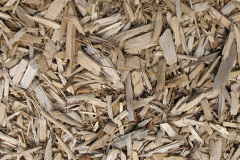 biomass boilers Fettes